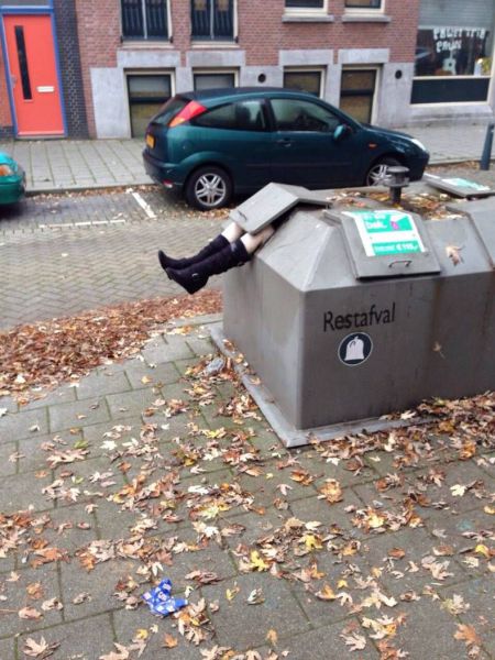 Daily Picdump