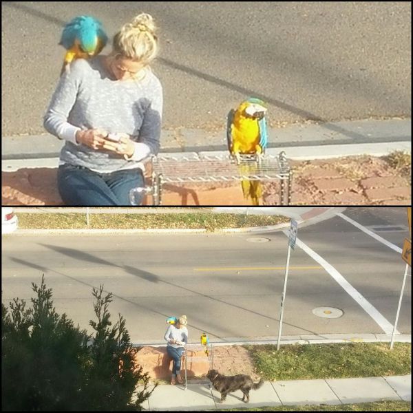 Morning Picdump