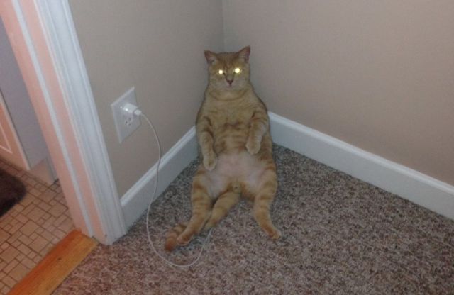 Morning Picdump