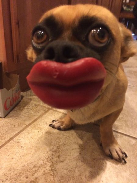 Content Image