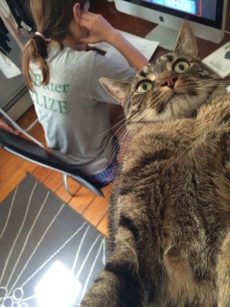 Content Image