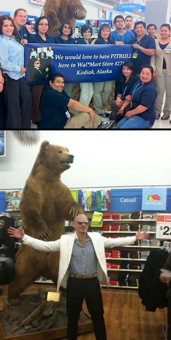 Content Image