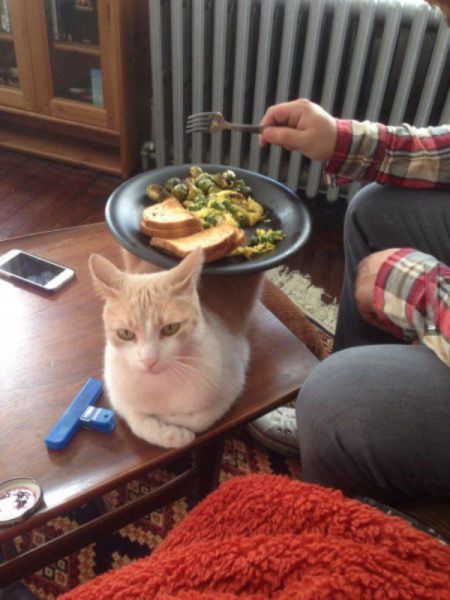 Morning Picdump