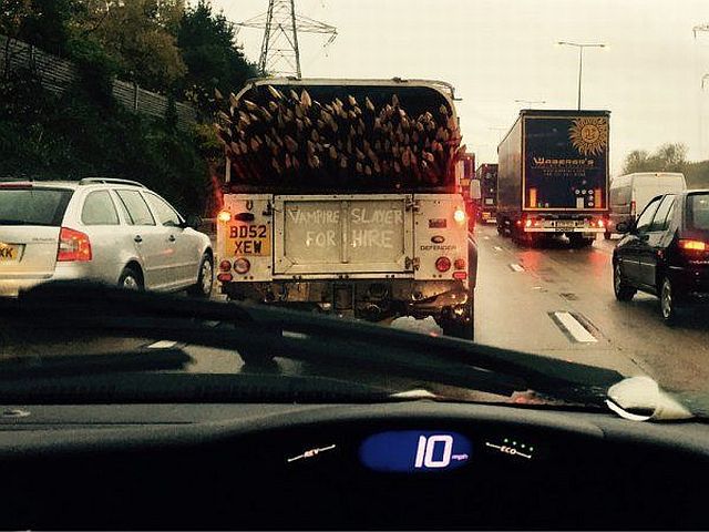 Morning Picdump