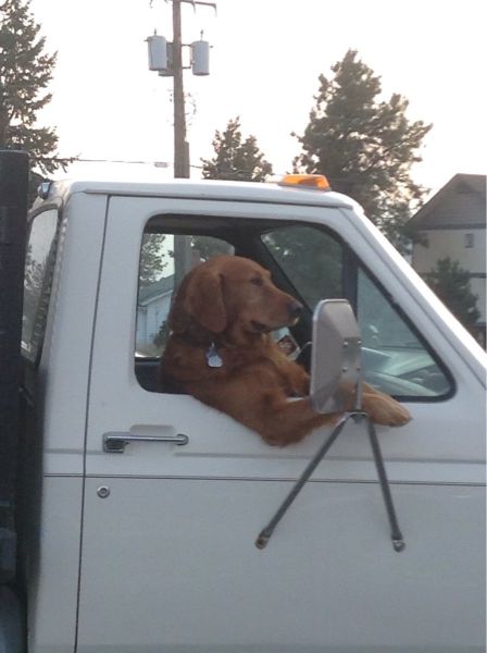 Morning Picdump