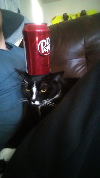 Content Image
