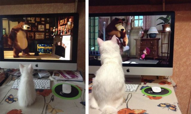 Daily Picdump