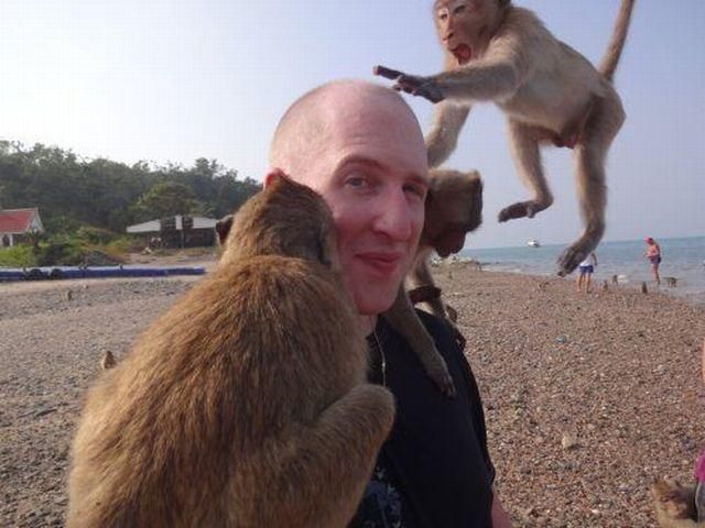 Content Image