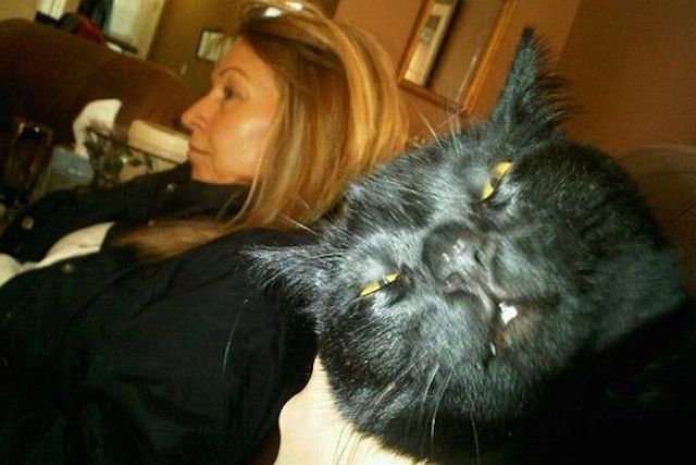 Morning Picdump