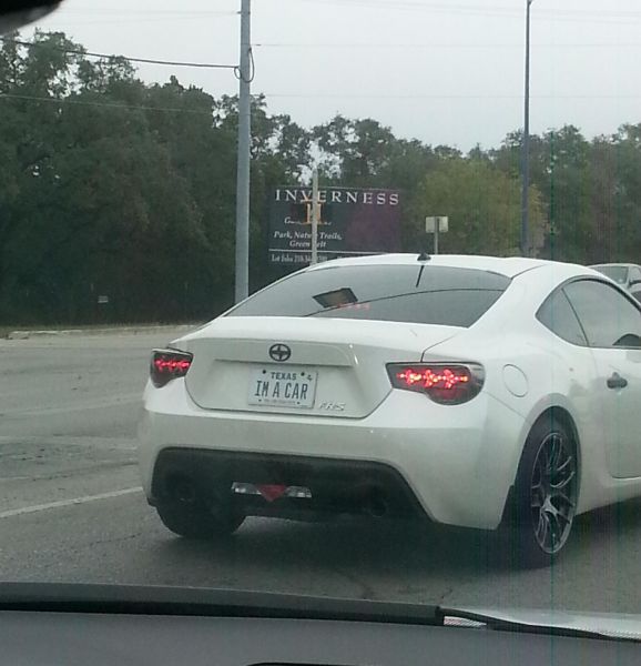 Morning Picdump