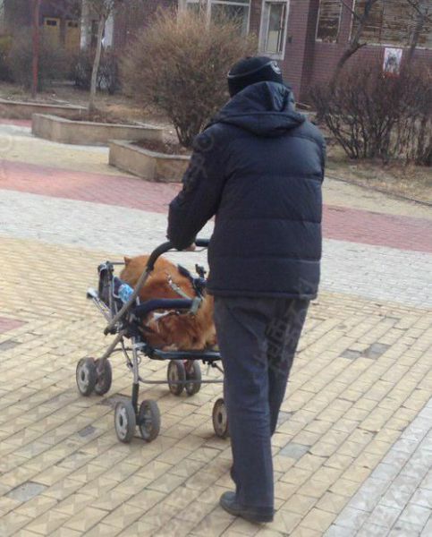 Morning Picdump