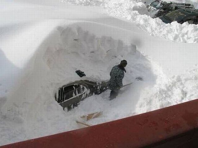 Morning Picdump