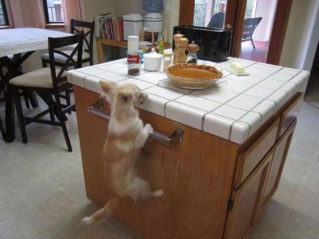 Morning Picdump