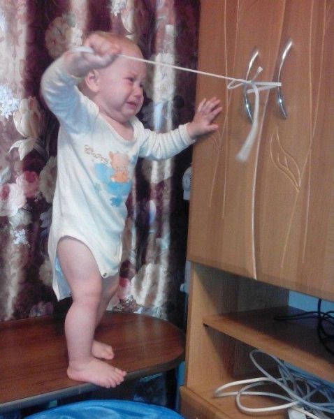 Morning Picdump