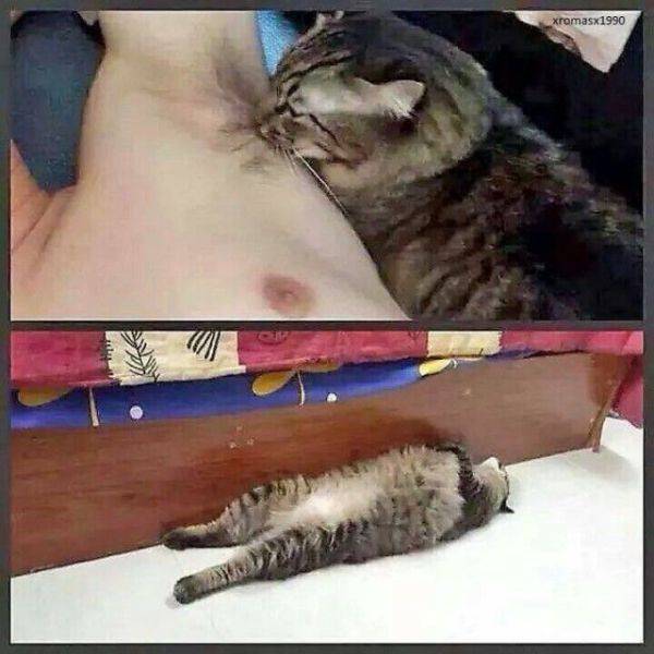 Morning Picdump