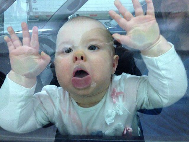 Morning Picdump