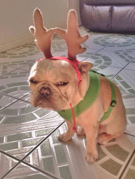 Morning Picdump