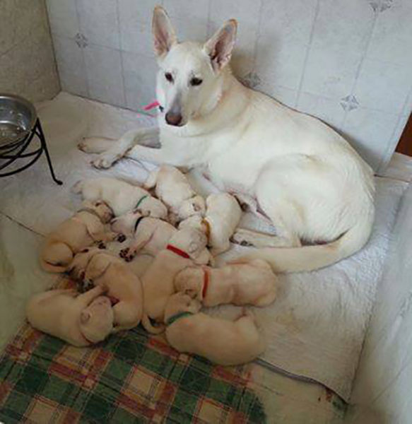 Morning Picdump