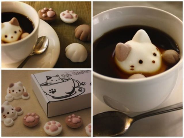 Morning Picdump
