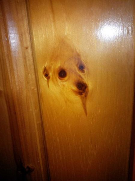 Morning Picdump