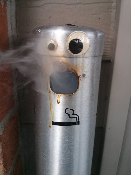 Morning Picdump
