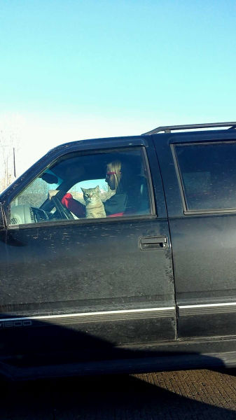 Morning Picdump