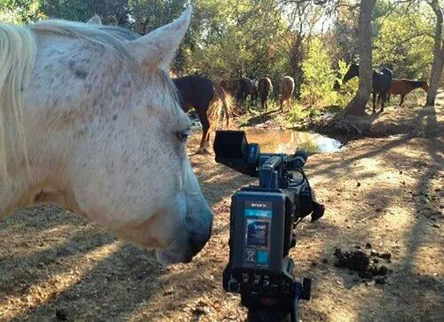 Content Image
