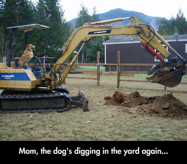 Morning Picdump