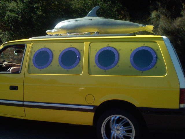 Morning Picdump