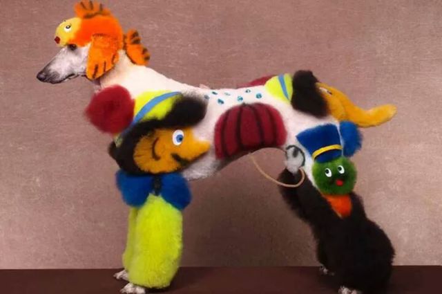 Content Image