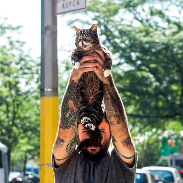 Daily Picdump