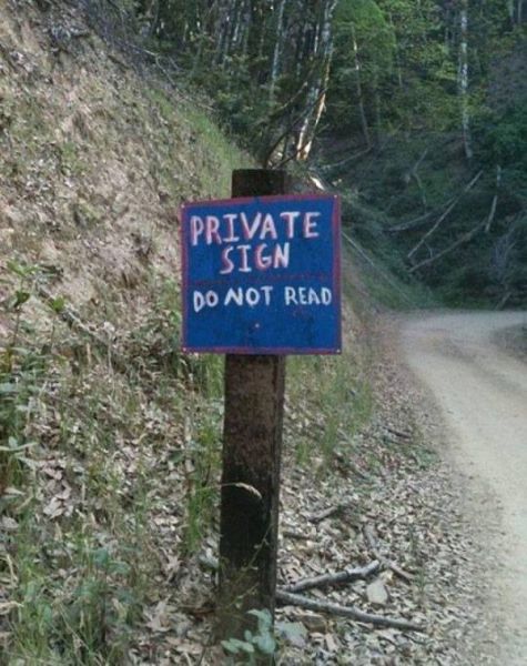 Content Image