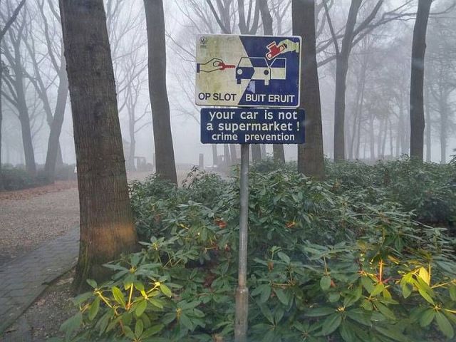 Content Image