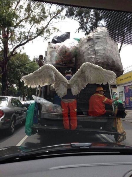 Morning Picdump