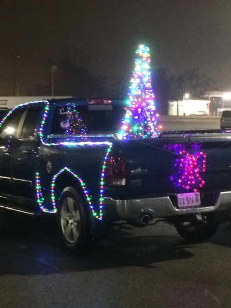 Morning Picdump
