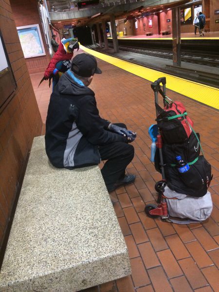 Content Image
