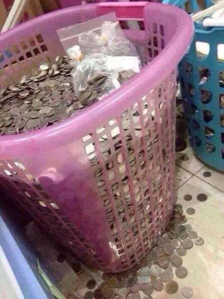 Morning Picdump