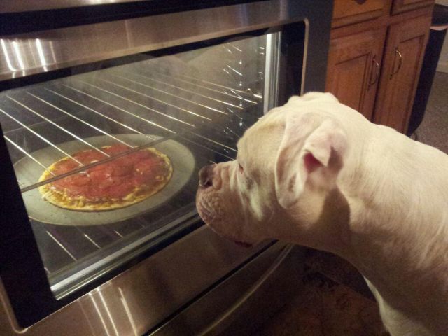 Content Image