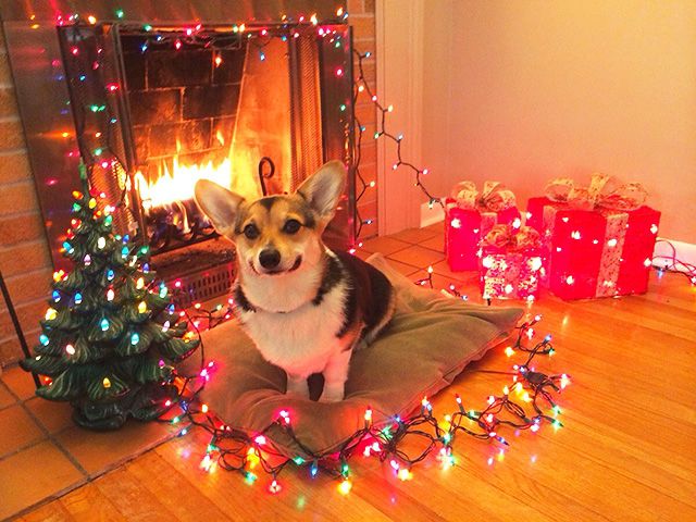 Happy New Year!
