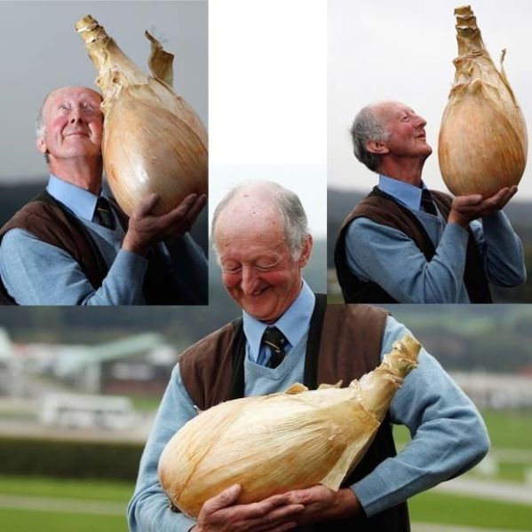 Morning Picdump