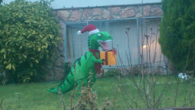 Morning Picdump