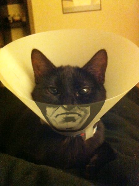 Content Image