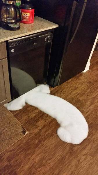 Morning Picdump