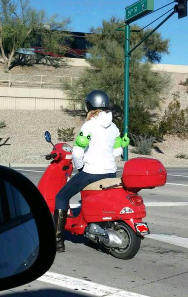 Morning Picdump