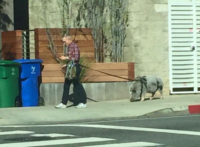 Morning Picdump