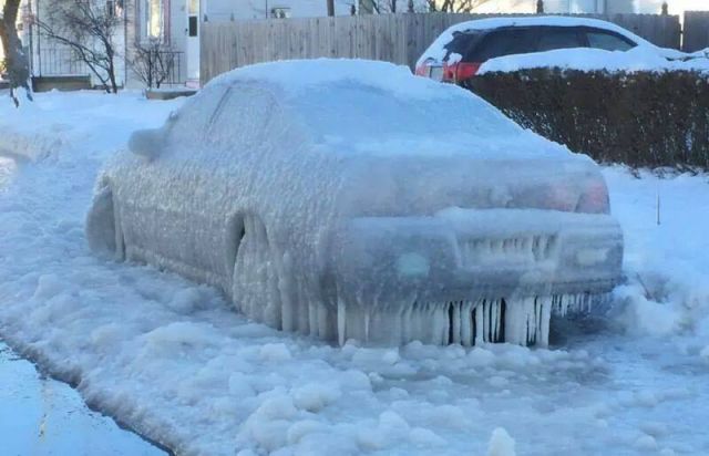 Morning Picdump