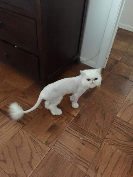 Morning Picdump