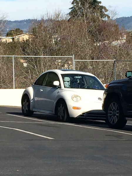 Morning Picdump