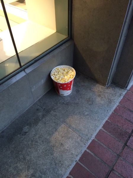 Morning Picdump