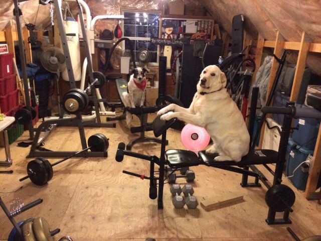 Morning Picdump